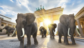 德国政府回应大象赠予事件