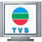 TVB - 香港无线电视专区