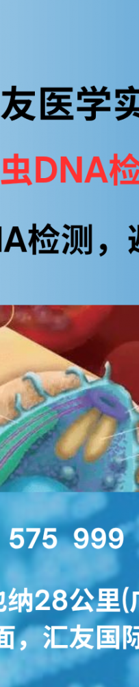 美国将安哥拉商品关税从32%降至15%