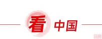 【一带一路•新出海】一周资讯(12月6日-12日)