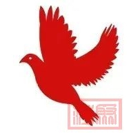 走进霍尔果斯:国贸学子探寻“一带一路”口岸经济新脉动