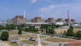欧洲最大核电站失联，德国人吓得想买私人掩体