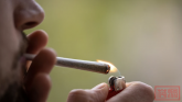 大麻将在4月合法化，多个部长对中学表示担忧