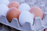 最新德国Öko-Test结果：ALDI的一款鸡蛋“质量不佳”